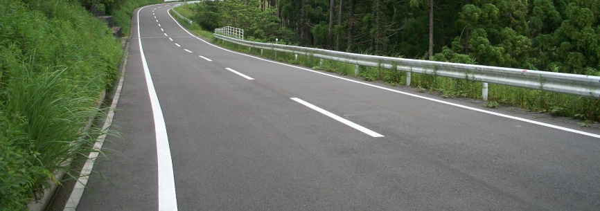Line Marking Survey
